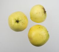 Tyrrestrup Kirsebæræble